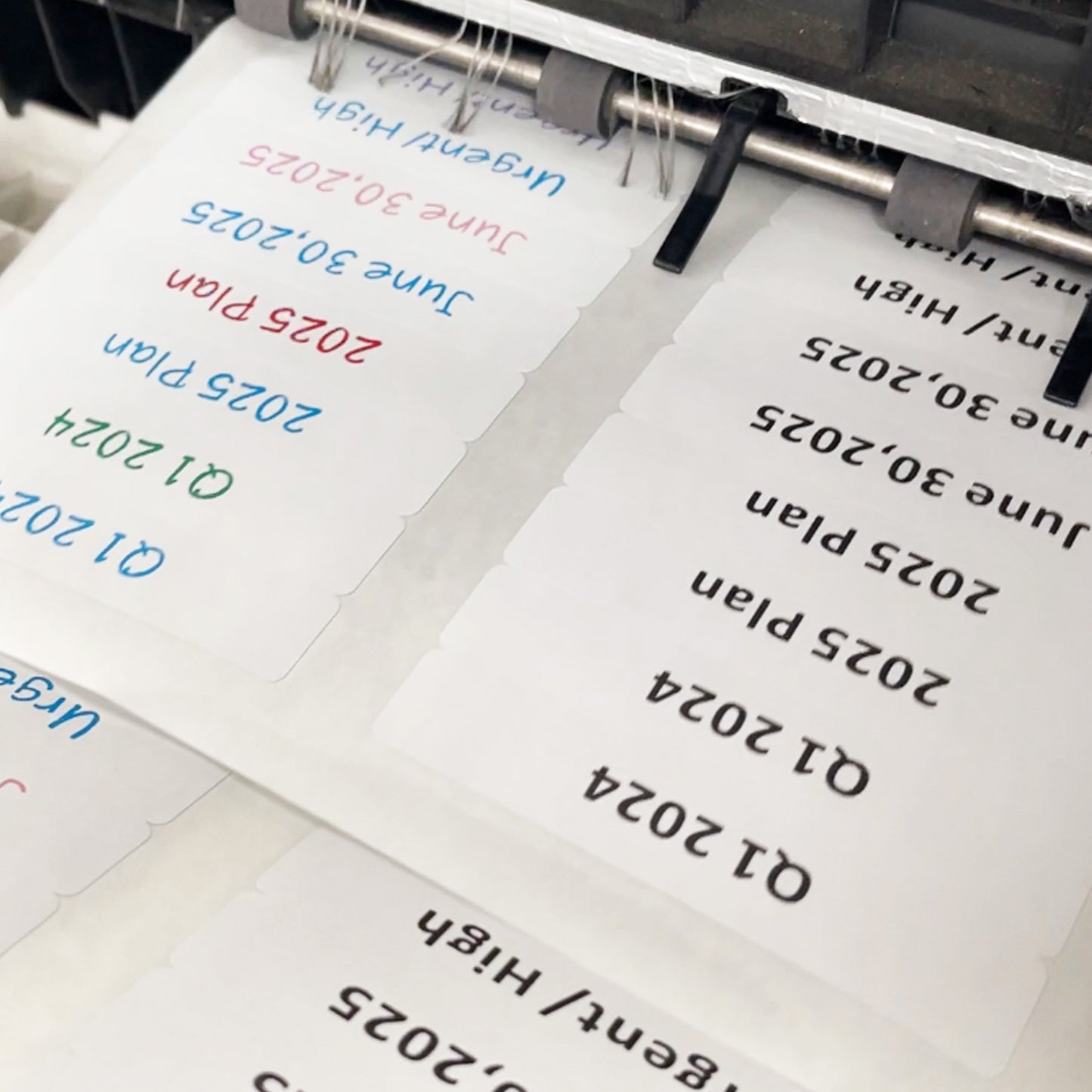 File Folder Labels, 2/3" x 3-7/16"